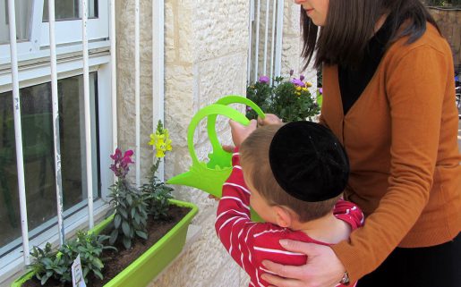 גינון טיפולי פנימי גינון טיפולי פנימי