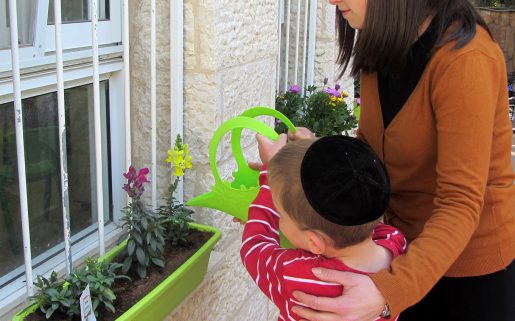 גינון טיפולי פנימי