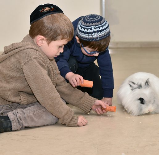 זאותרפיה פנימי 1 זאותרפיה פנימי 1