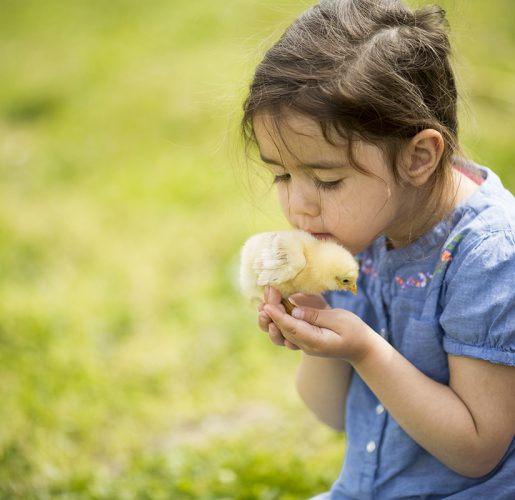 Cute girl with chicken מעון יום שיקומי